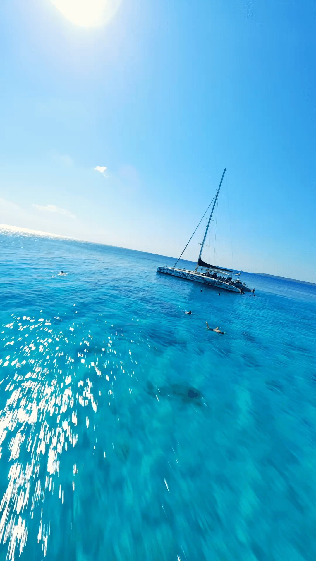 Catamaran trips